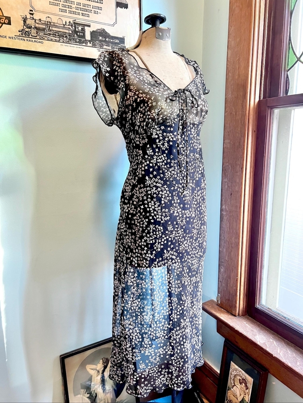 Sheer Chiffon Vintage Dress